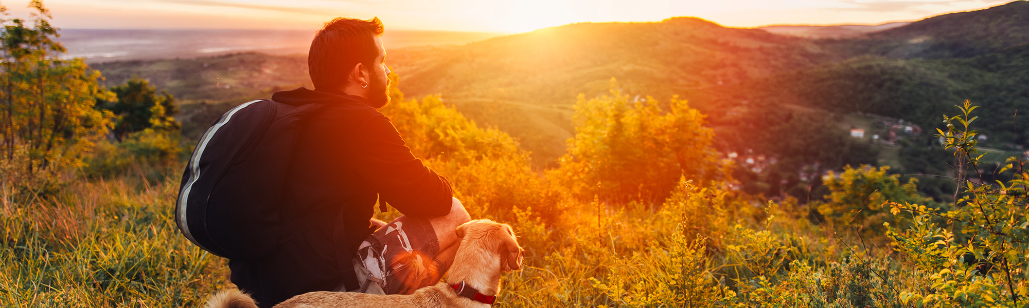 online installment IL