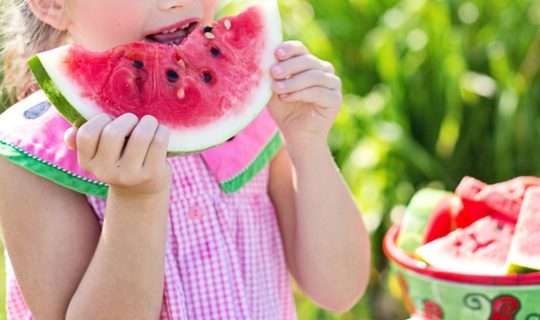 Small Girl, Eating Watermelon, Bowl of Watermelon, Nature Background