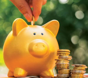 Hand Placing Coin Into Piggy Bank, Coins, Nature Background