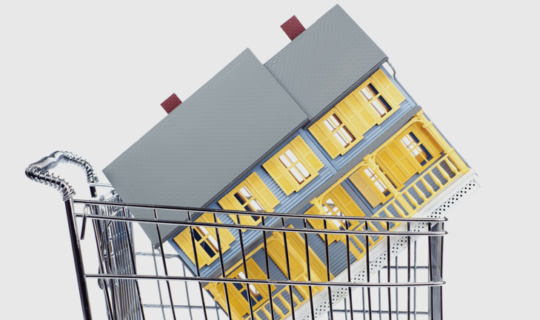 House in a shopping cart