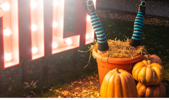 Halloween Decorations, legs in flower pot, bright lights, pumpkins