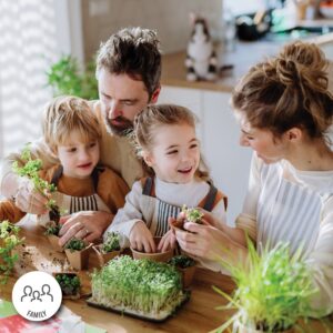 Budget friendly family activies