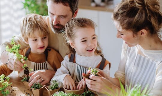 Budget friendly family activies